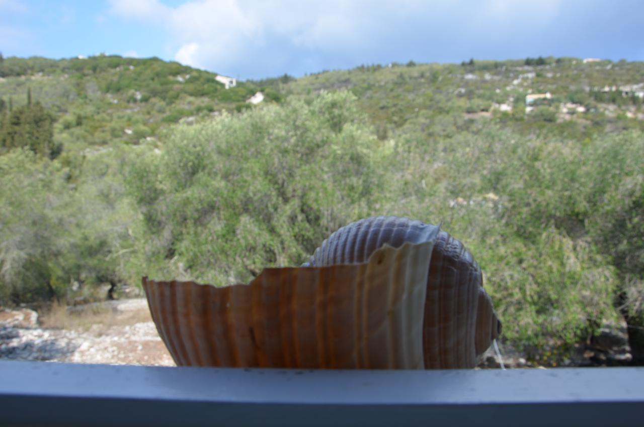 Villa Clementine Gaios Luaran gambar